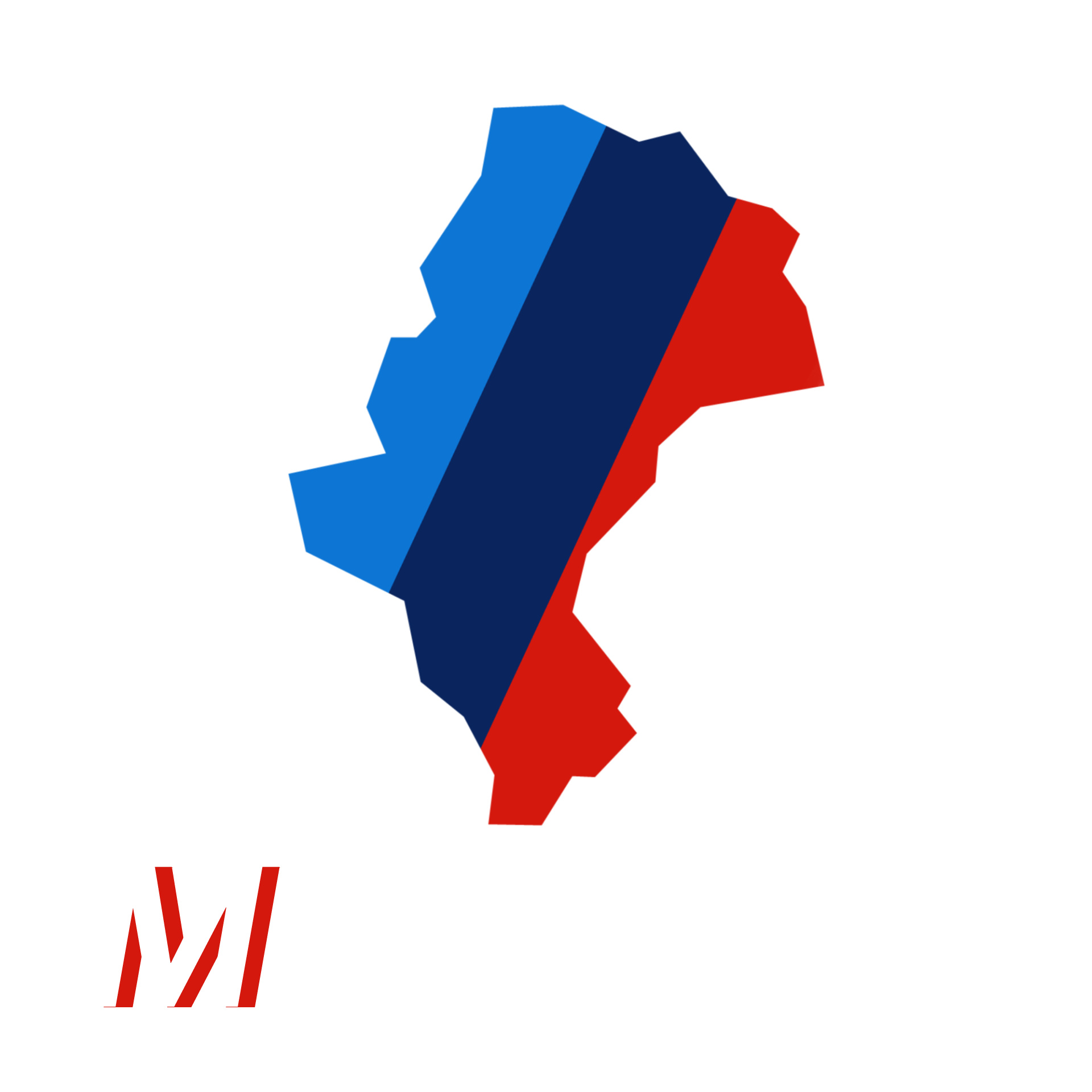 Msilesia – logo firmy